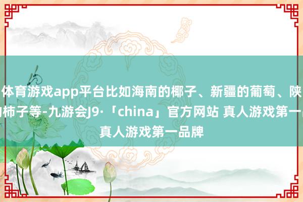 体育游戏app平台比如海南的椰子、新疆的葡萄、陕西的柿子等-九游会J9·「china」官方网站 真人游戏第一品牌