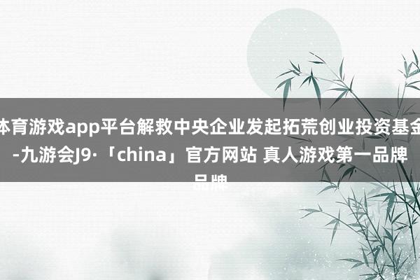 体育游戏app平台解救中央企业发起拓荒创业投资基金-九游会J9·「china」官方网站 真人游戏第一品牌