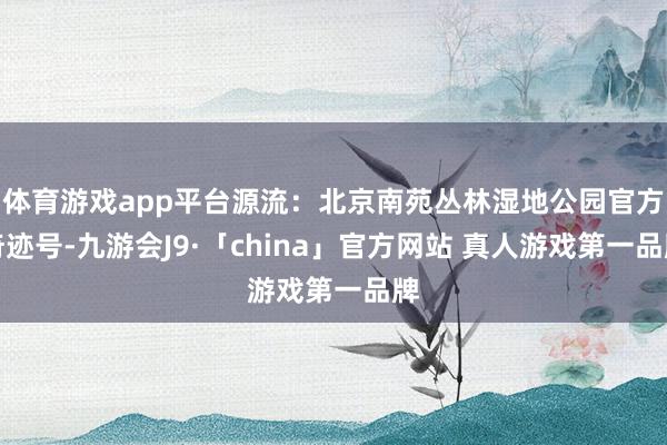 体育游戏app平台源流：北京南苑丛林湿地公园官方奇迹号-九游会J9·「china」官方网站 真人游戏第一品牌