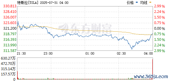 R图 TSLA_0